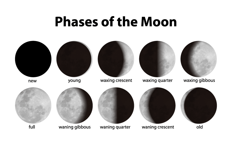 月亮月相图矢量素材，AI源文件