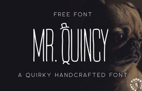 Mr.Quincy дӢ