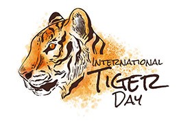 3张世界老虎保护日矢量插画，AI源文件