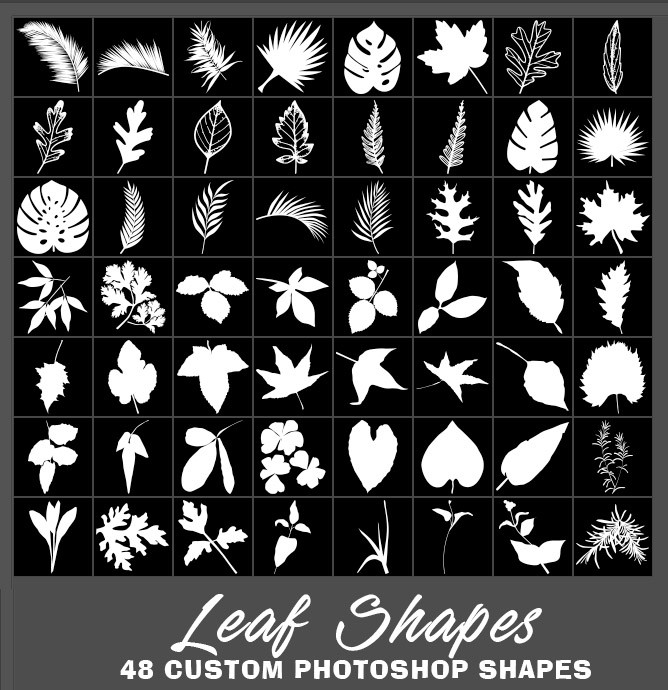 48个热带树叶自定义PS形状，csh格式
