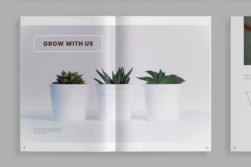 植物类杂志设计模板，INDD源文件
