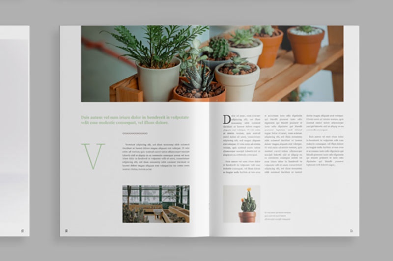 植物类杂志设计模板，INDD源文件