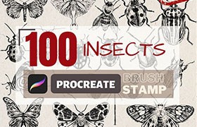 100个昆虫标本集Procreate笔刷