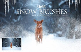 25个用于Photoshop的雪景效果笔刷