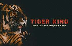 TigerKing 老虎纹理英文字体，免费可商用