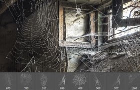 30种蜘蛛网Photoshop笔刷