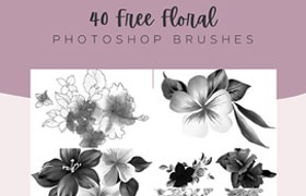40支花卉图章Photoshop笔刷