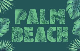 Palm Beach植物印花英文字体