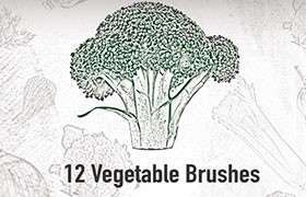 12个蔬菜图像PS笔刷