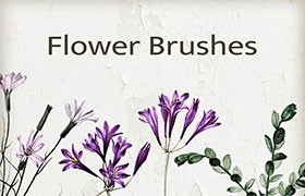 9个水彩花卉图像PS笔刷