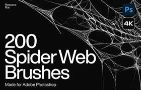 200+高清蜘蛛网Photoshop笔刷