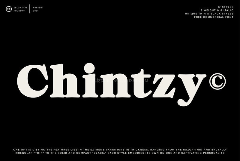 ZT Chintzyŷ壬ѿ