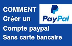 PayPal Sans ޳