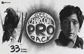  33 pencil charcoal sketch effect Procreate brush