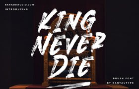 KingNeverDie Ӣˢ