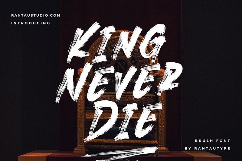 KingNeverDie Ӣˢ