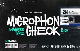 Microphone Check ӢͿѻ