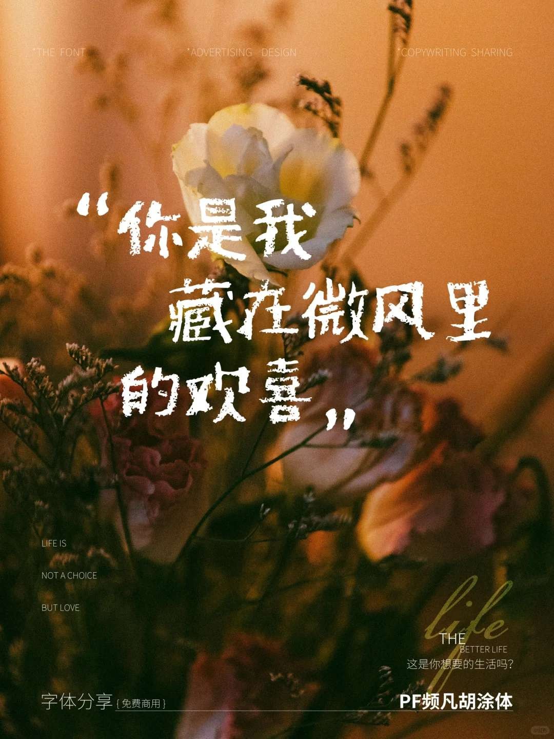 8ɳڸд (3)