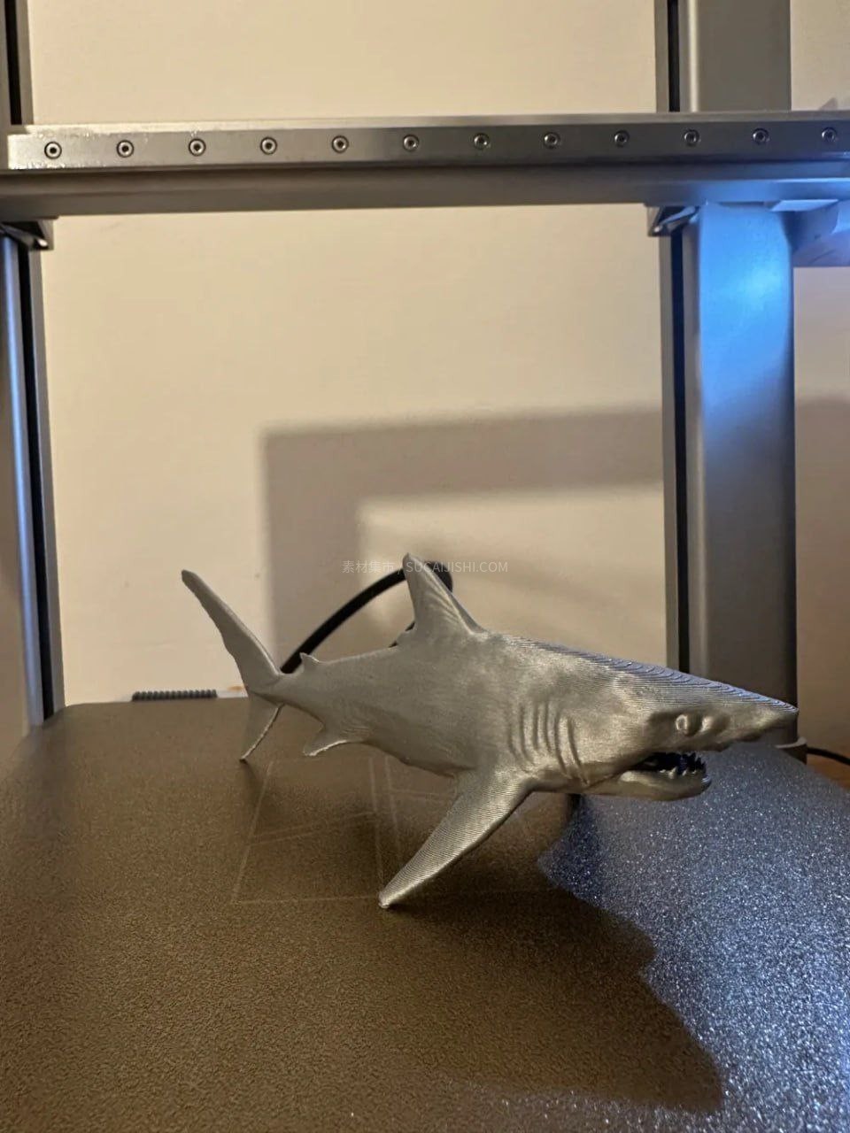 Squalo3DģSTL
