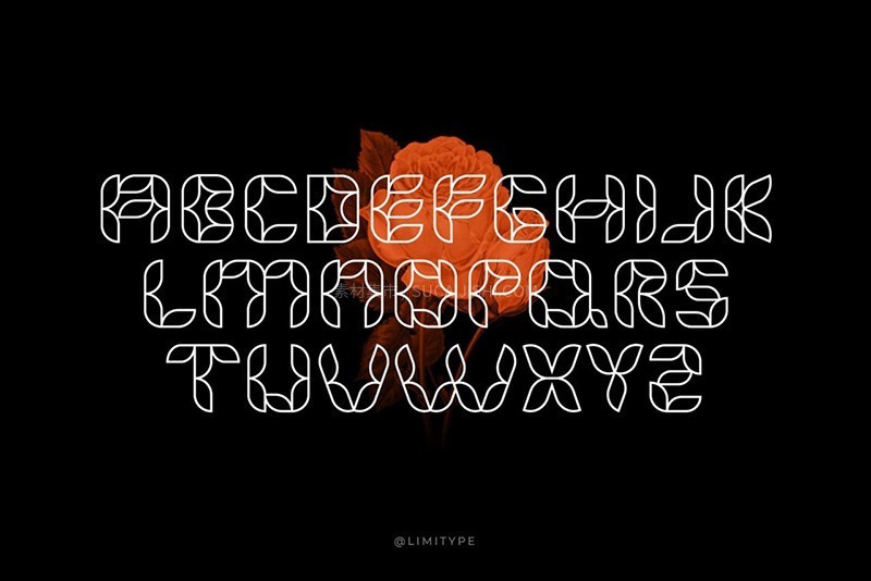 6����������Ӣ������ϼ�