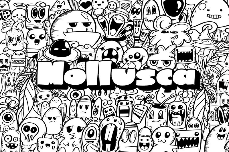 MolluscaͿѻ־Ӣ壬Ƶ̳