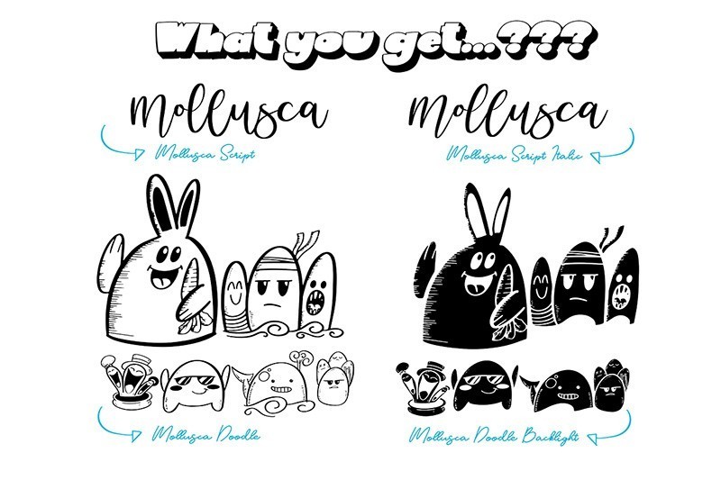 MolluscaͿѻ־Ӣ壬Ƶ̳