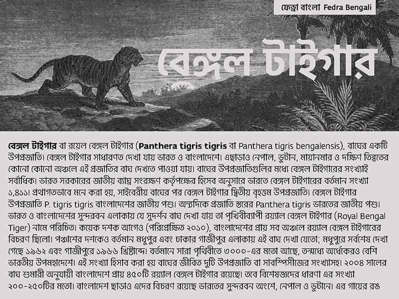 Fedra Sans Bangla ϼ