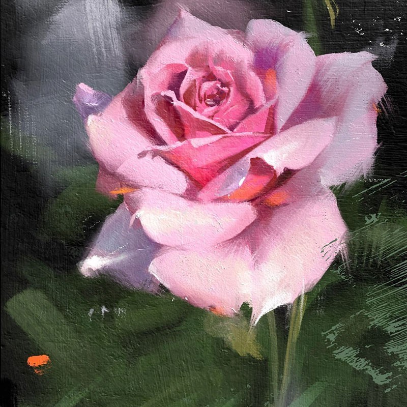 Procreate厚重油画质感笔刷