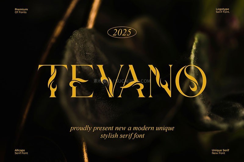 Tevano优雅个性品牌英文字体