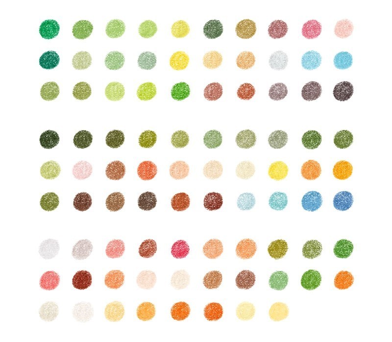 Procreateɰ廭ˢװ
