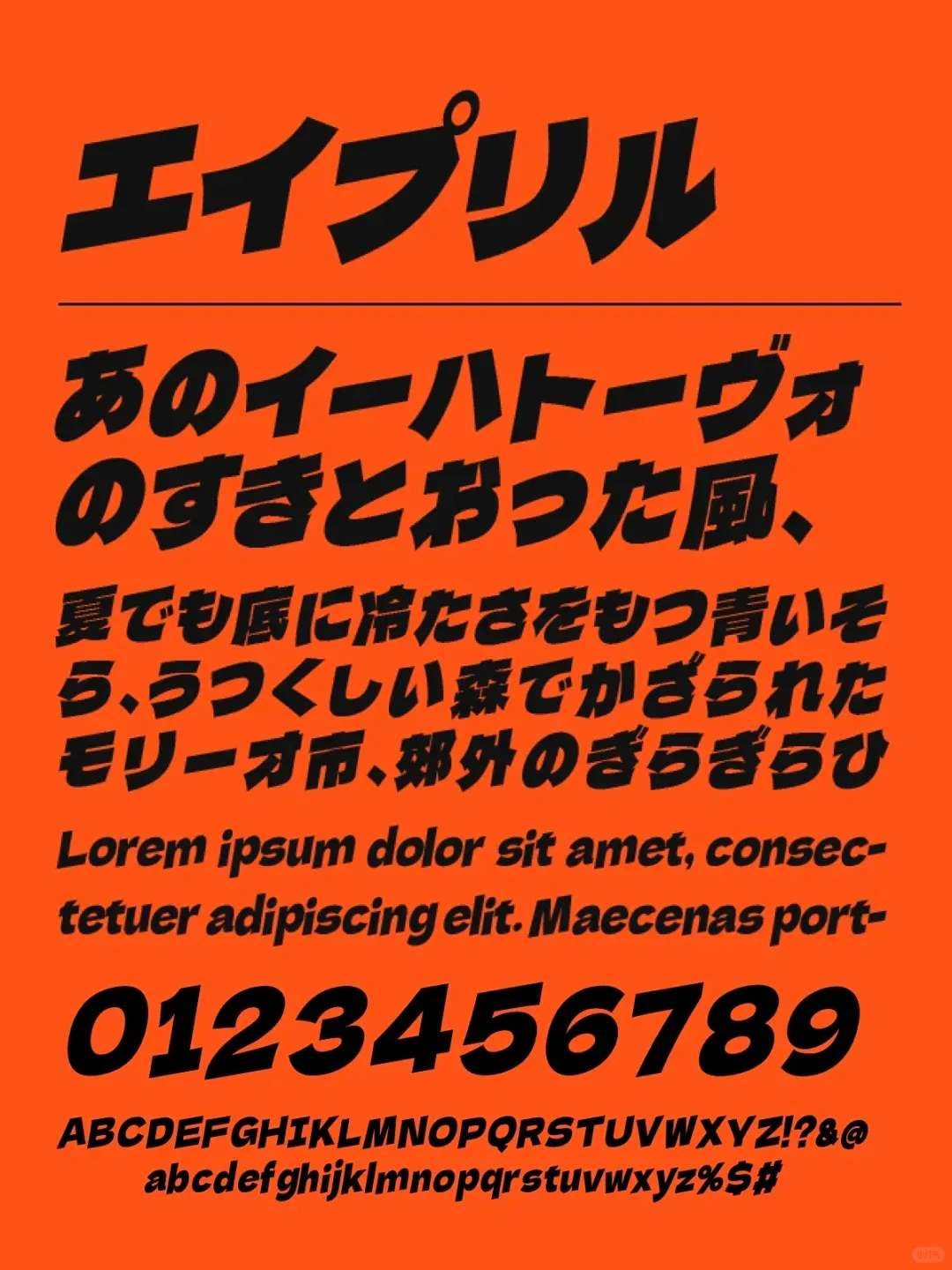 6������������Ű����� (4)