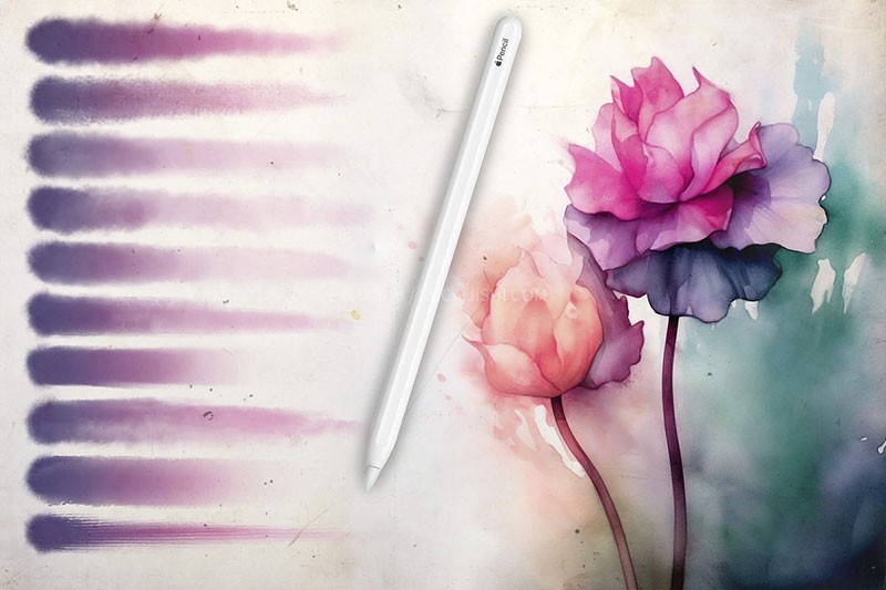ProcreateTĨ^ɹPˢ