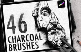 40+Procreate炭笔速写笔刷