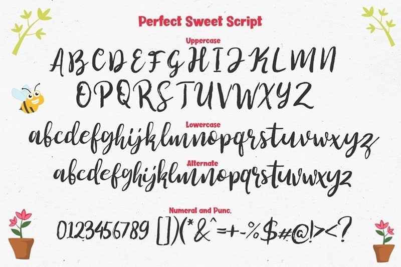 �ɰ�ͿѻӢ���������