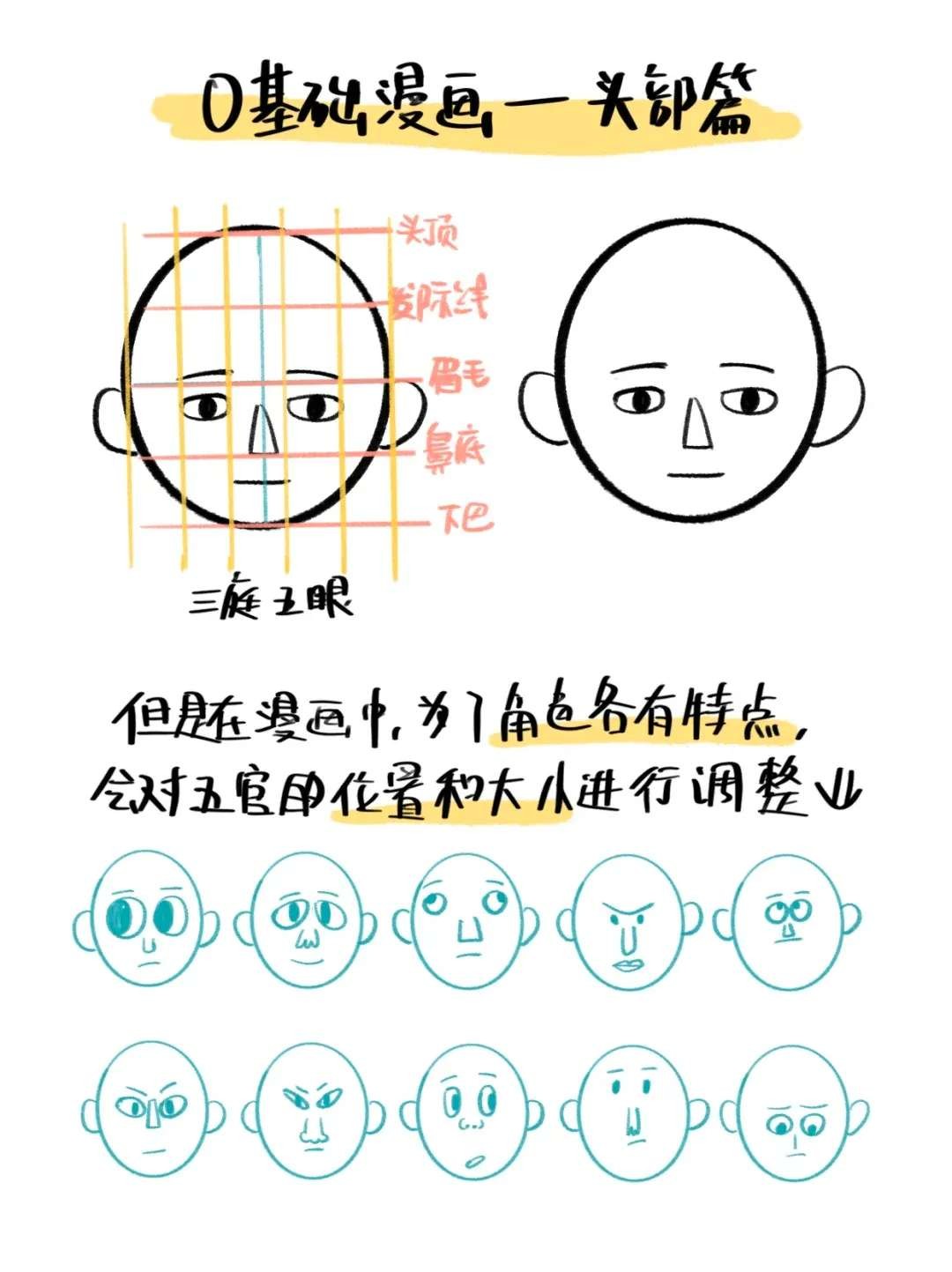 零基础漫画教程｜头部篇：五官+脸型+角度