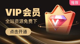 全站VIP会员