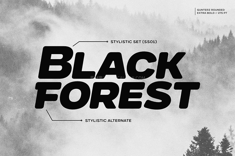 Gunterz Rounded 时尚粗圆英文字体