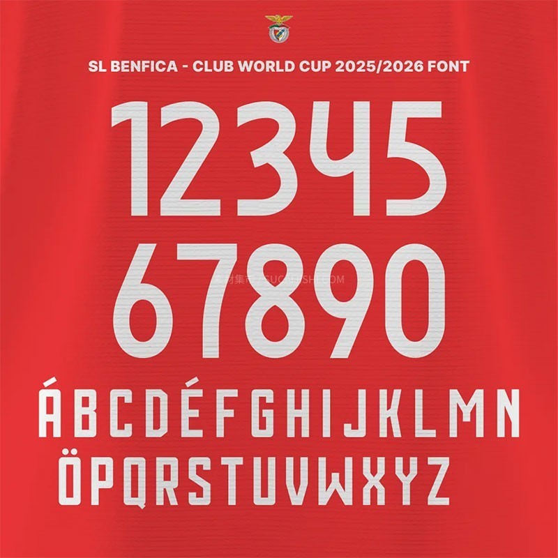 ���ƿ�2025/2026���ͳ���������