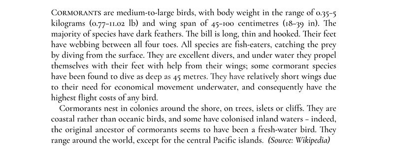 Cormorant���Ÿ��ų������壬��ѿ�����