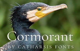 Cormorant优雅复古衬线字体，免费可商用
