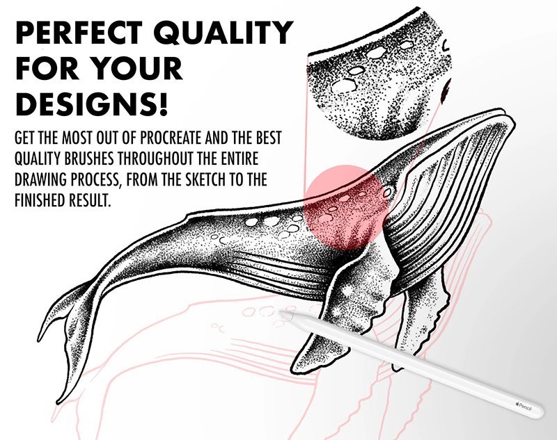 ProcreatecyPˢ