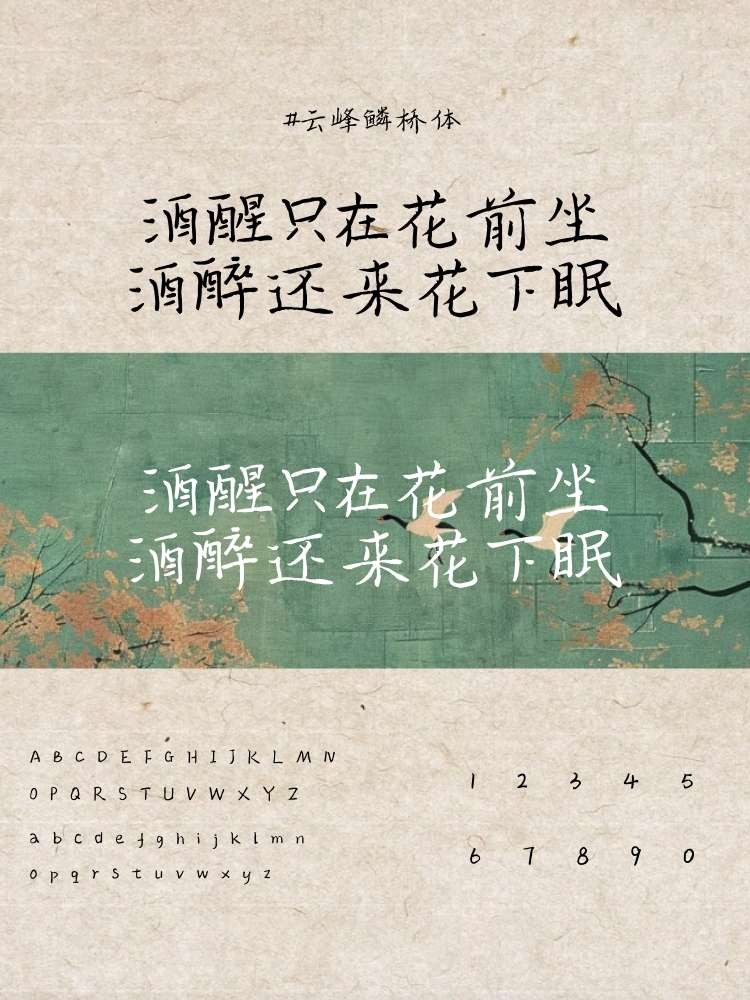 8ʽŵÕw