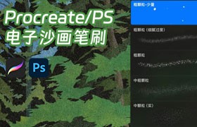 ɳProcreate+PSPˢ