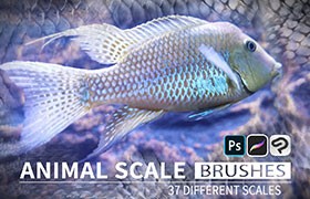 37支动物鳞片纹理笔刷，兼容Procreate、PS及CSP
