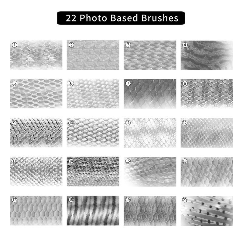 37֧ƬˢProcreatePSCSP