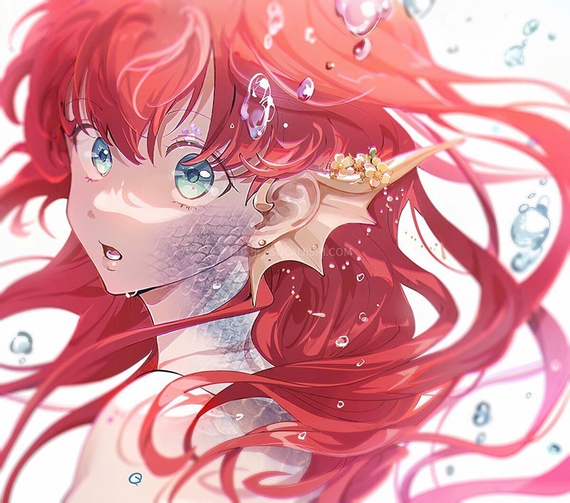 37֧ƬˢProcreatePSCSP