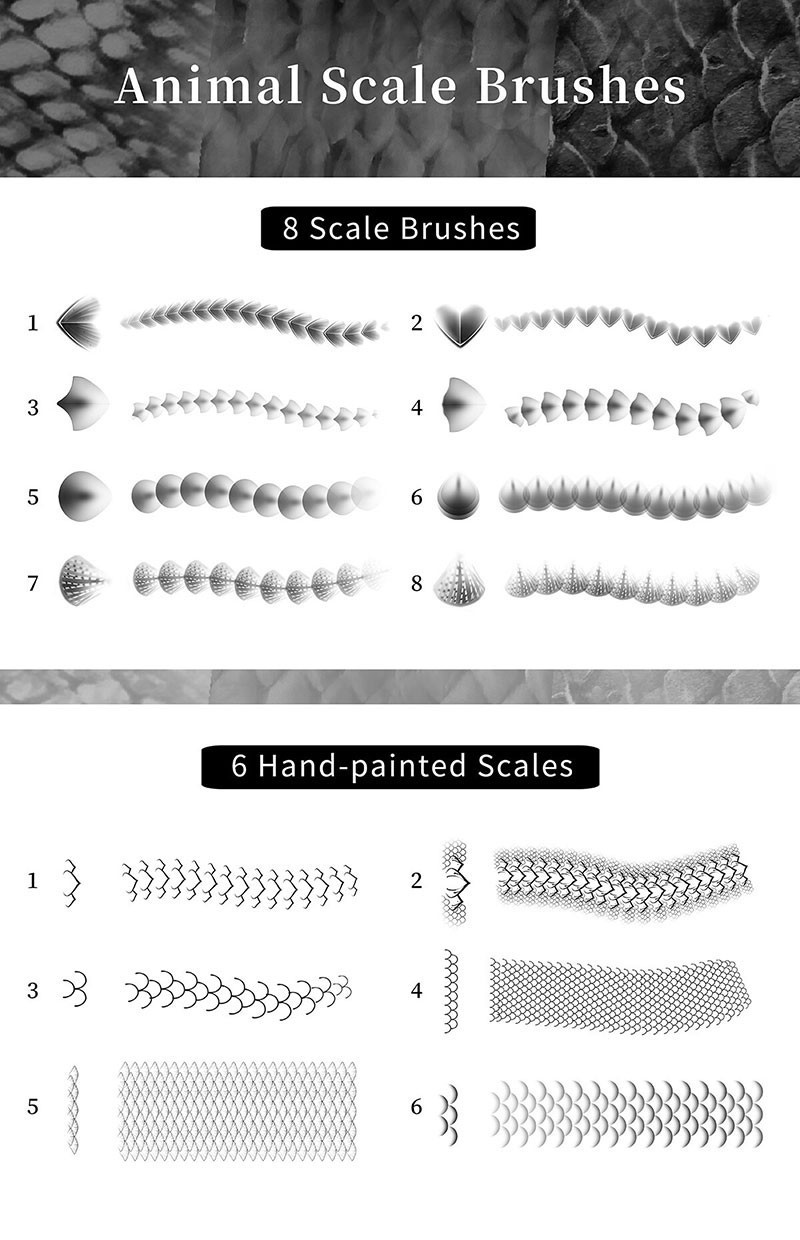 37֧ƬˢProcreatePSCSP