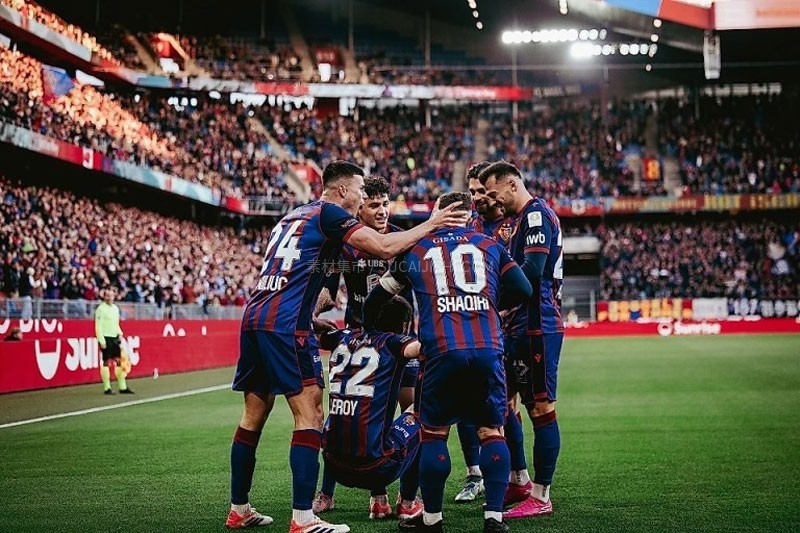 ������������ֲ� 2025-2026 ������������