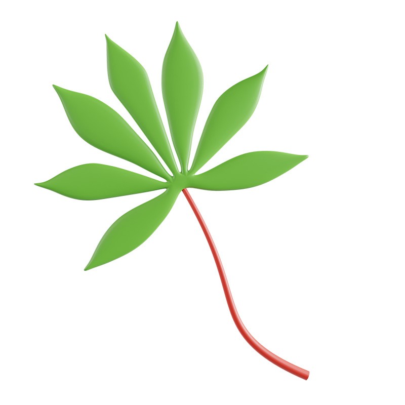 ľҶ Cassava Leaves 3D model