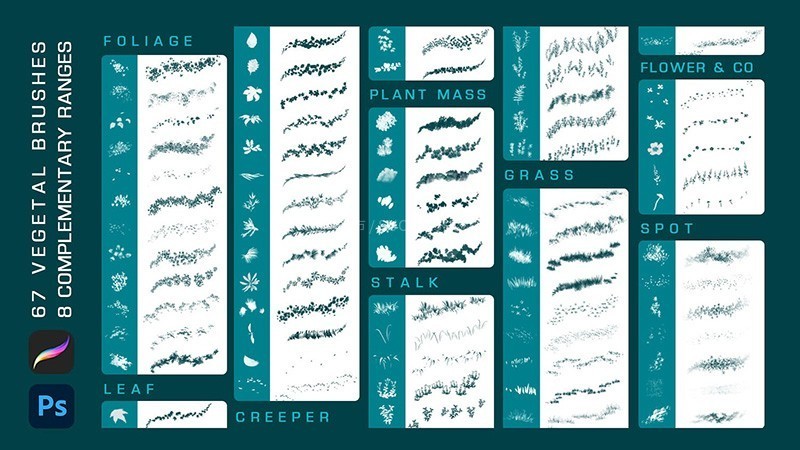 60+���������PS+Procreateֲ���ˢ